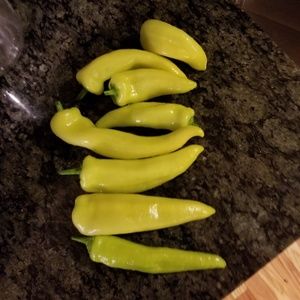 Meet your Posher, Jerry